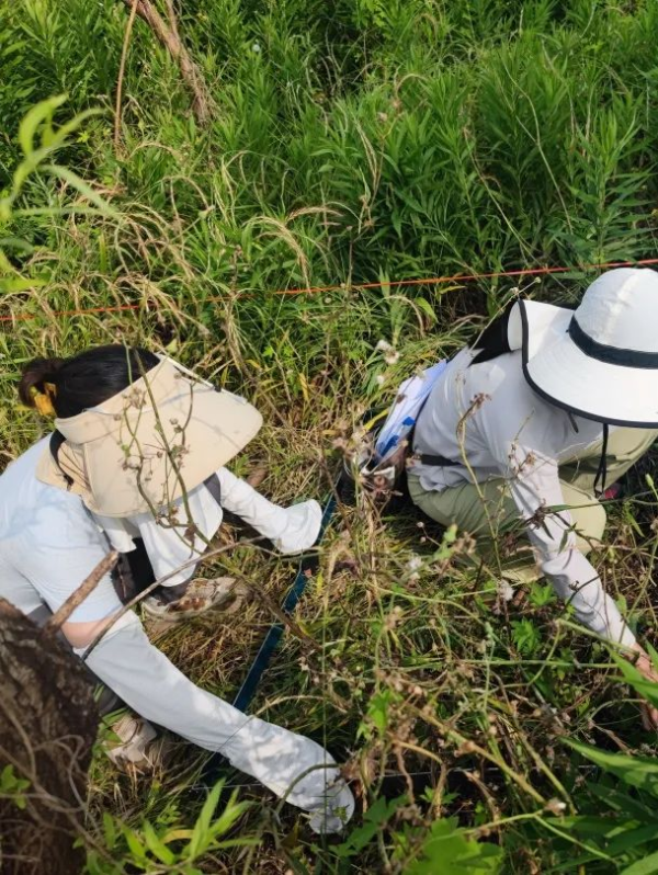 1759818758109187.png s_ac4dfbfd8fdf44e5899b6a018e20615a.png