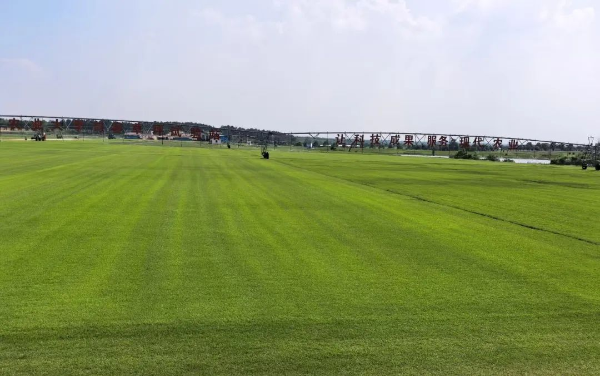 1760075197460538.png s_7b1cdce1b400489d9ea7b9a1f223142e.png